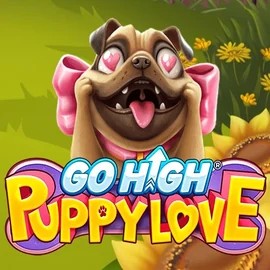 game logo by RubyPlay on vegasinocasinoo.gr
